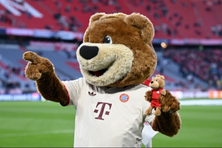 你在德甲能干什么工作？图片报透露德甲从保安到球员的收入水平